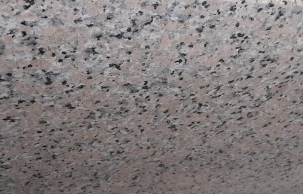 Tiger Spot